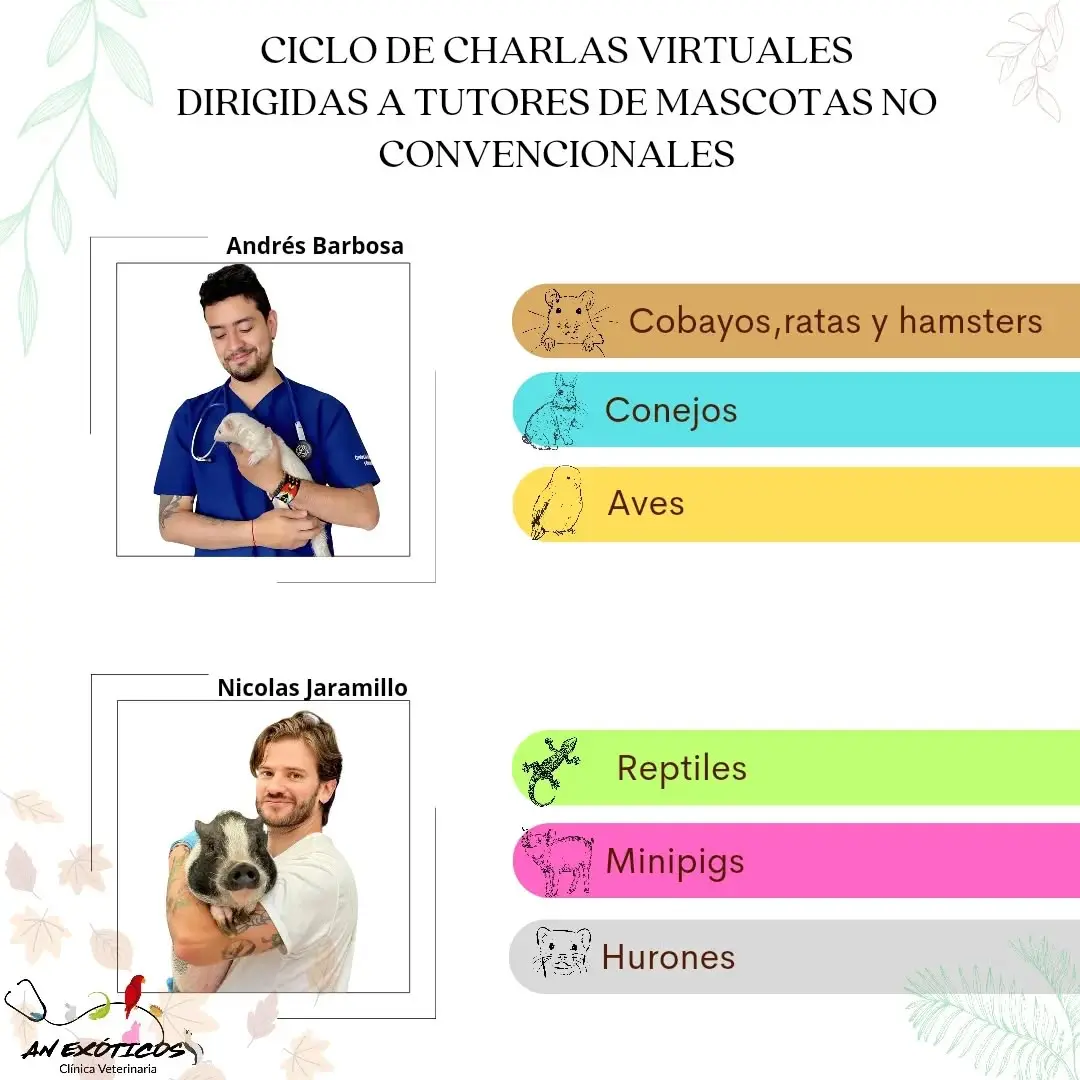 Charlas virtuales