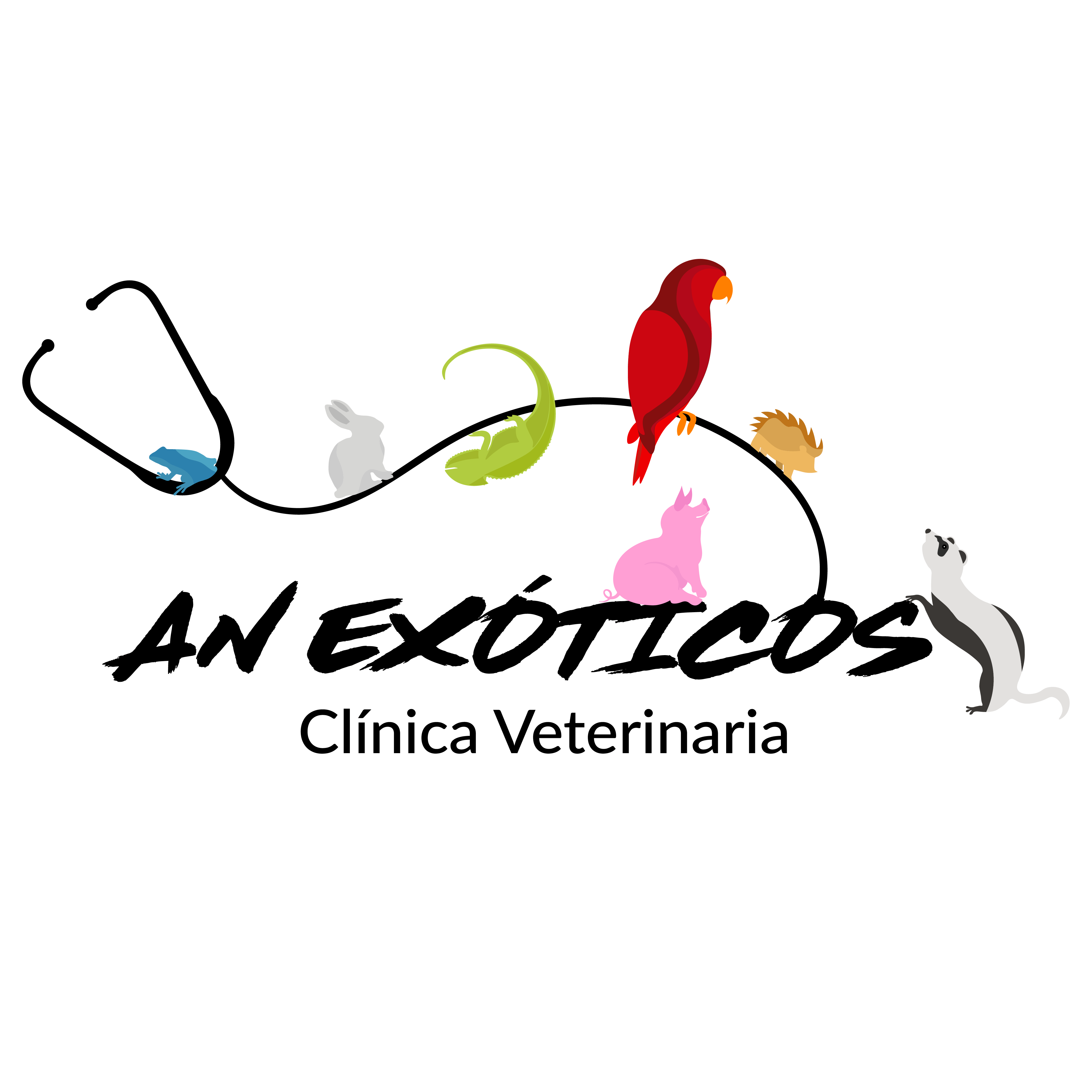 AN Exóticos Clínica Veterinaria